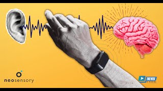 Tinnitus Relief and Speech Clarity on the Wrist? Latest Research Behind Neosensory's Duo and Clarify