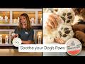 Skout's Honor Prebiotic Pet Balm