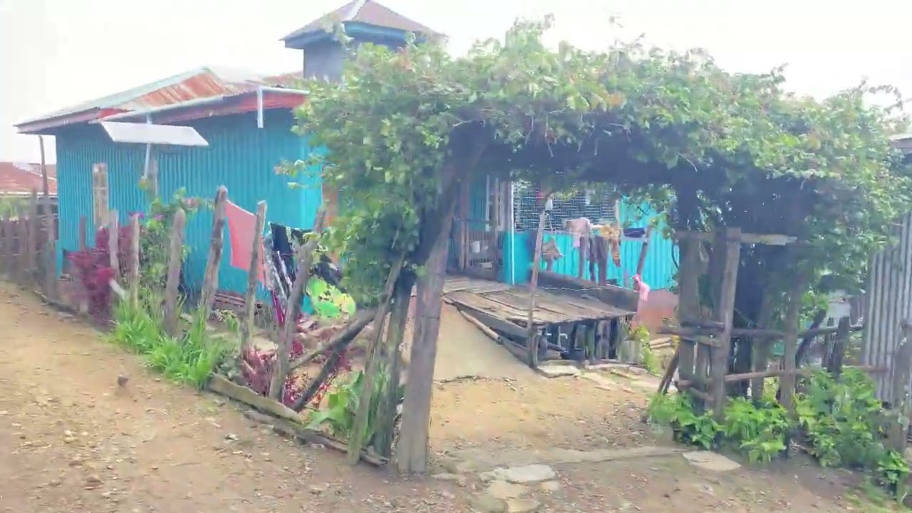 4.6.2025 Bapi Khua Sung Inn kim