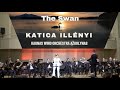 Katica Illényi - theremin &amp; Kaunas Wind Orchestra Ąžuolynas: The Swan