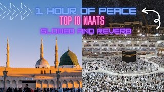Top 20 [ SLOWED AND REVERB ] NAATS..|  1 Hour of Peace . slowedandreverb naat