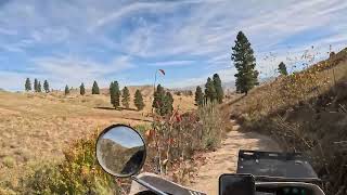 Fall Ride on the TW200 [Part Two]
