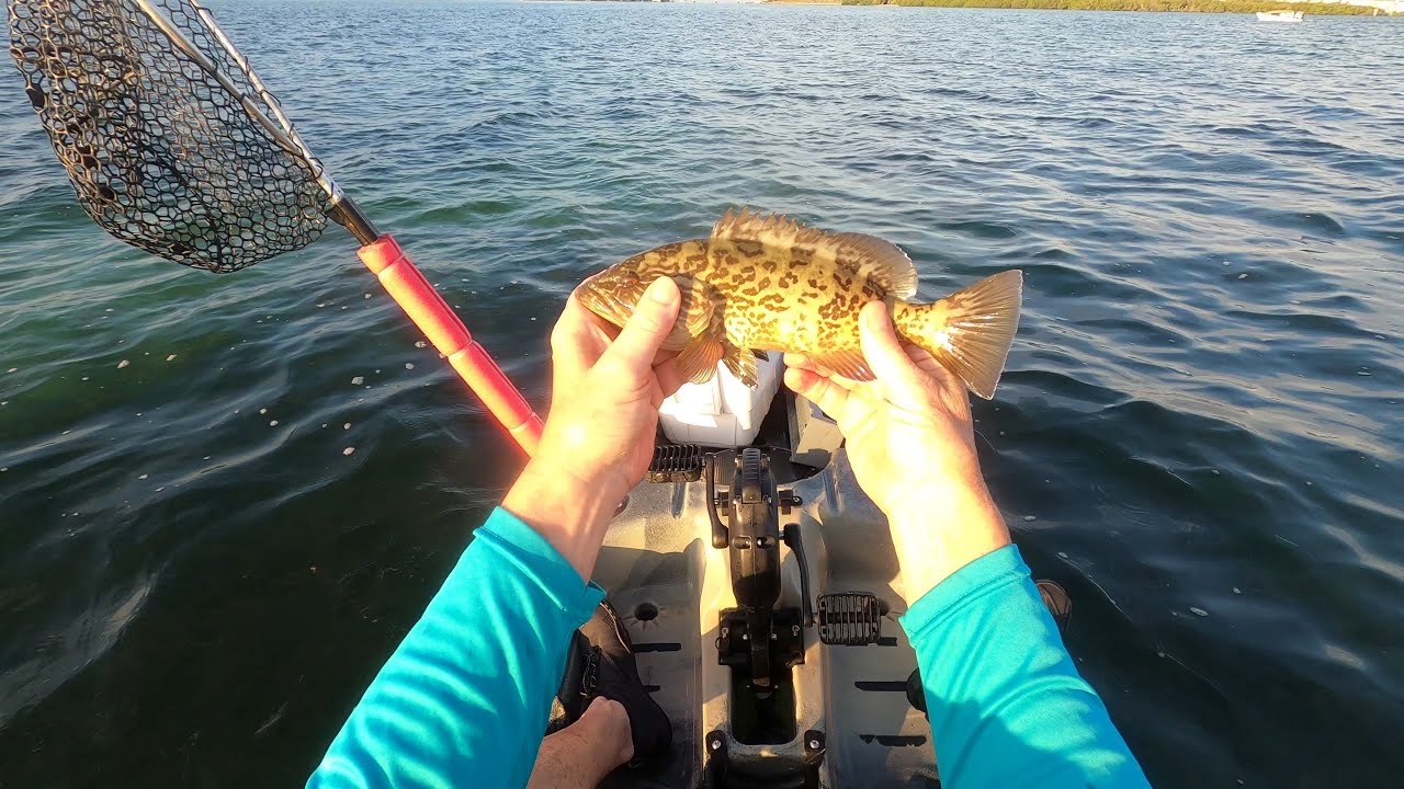 Mini Gag Grouper Fest With One Mini Trout  Just a Mini Fish Day🐟🐟🐟🐟🐟