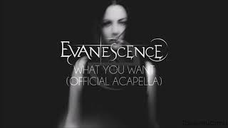 Evanescence - What You Want (Official Acapella)