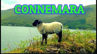 CONNEMARA САМОЕ КРАСИВОЕ МЕСТО В ИРЛАНДИИ/ВОДОПАДЫ/ПЛЯЖ/ЕДА