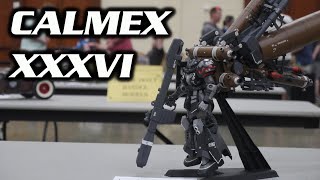 S.W.A.M.P. Meet - CALMEX 37 | HobbyView