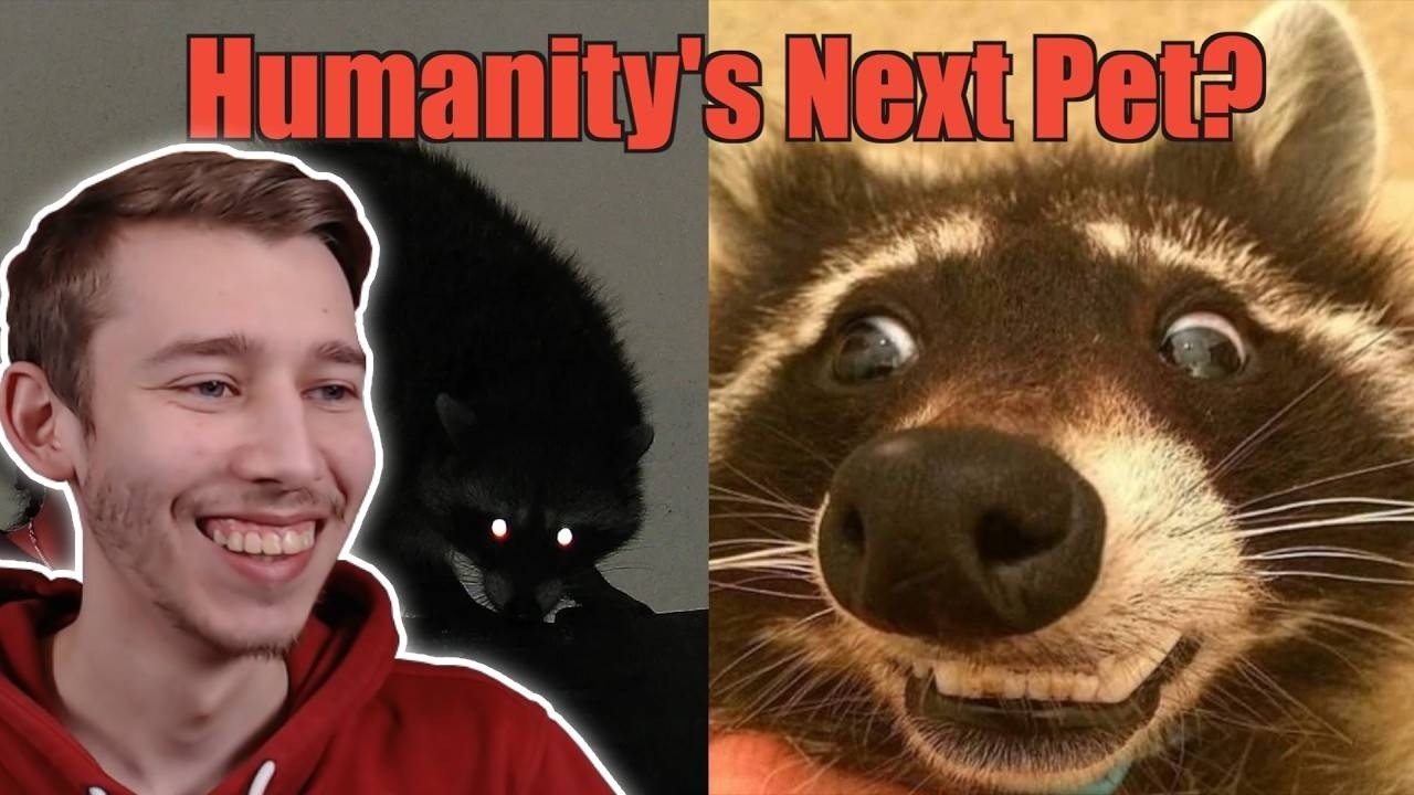 How Raccoons (Almost) Got Away With It REACTION!