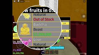 Buying Buddha Fruit In Roblox Blox Fruit!