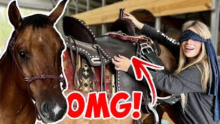 Grooming & Tacking Up My Horse BLINDFOLDED! *So funny*