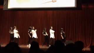 NYU aKDPhi at CSS Dynamicss 2013