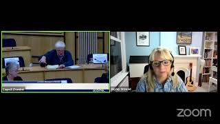 Children and Young People Overview and Scrutiny Panel
