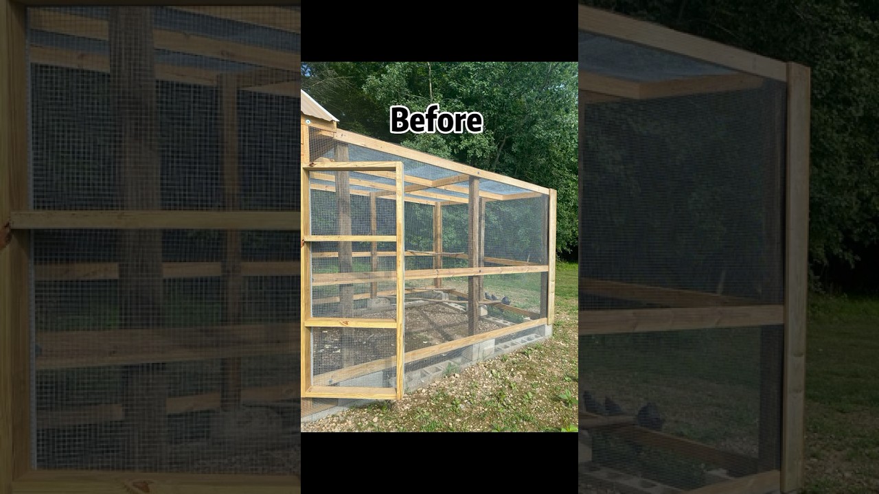 Paint Your Chicken Wire Fence Black to Make it Invisible￼ on Your Farm 