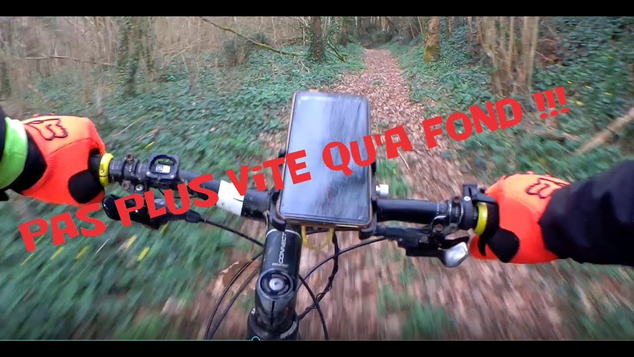 VTT: Rencontre avec un arbre