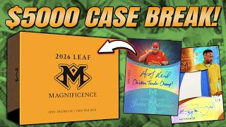 How Much Did This 5000 Leaf Magnificence Case Make Back