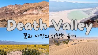 데스밸리(Death Valley) 꽃과 사막의 위험한 동거 | 데스밸리 주요 명소 추천 | 뷰 포인트 | LA 근교 | 킬리포니아 | 미국 서부 여행