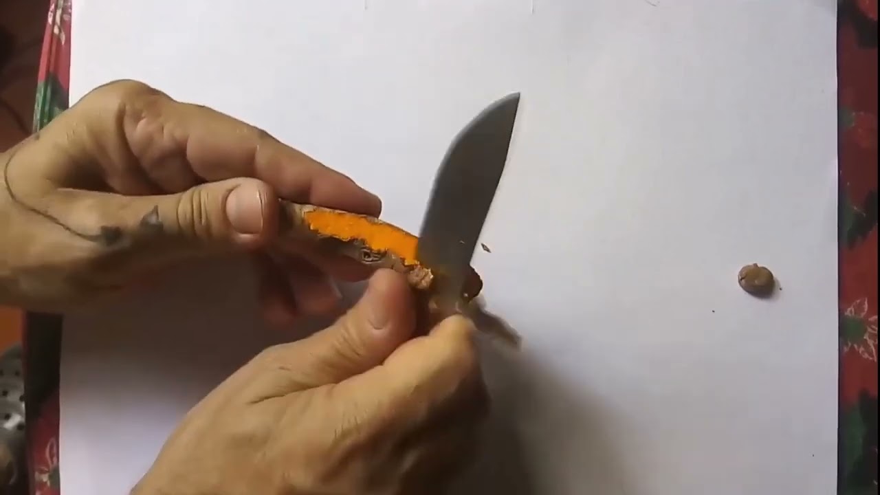 YouTubeでART OF ORIGIN / by Ender Rodríguez, 2023.を視聴 YouTubeでART OF ORIGIN / by Ender Rodríguez, 2023.を視聴
