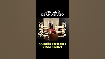 Thumbnail of ¿A quién abrazarías en este momento?