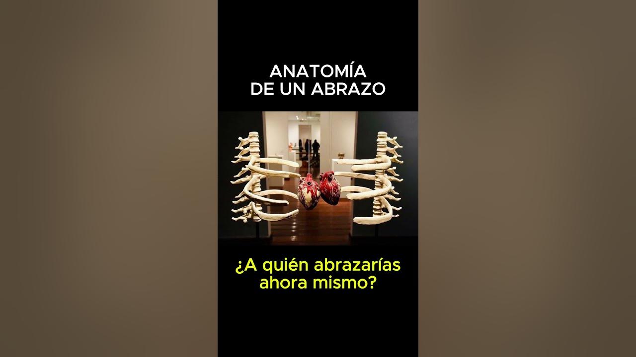 ¿A quién abrazarías en este momento?