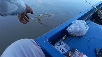 tôm càng lửa các bạn ơi , duoc nguyen vlogs