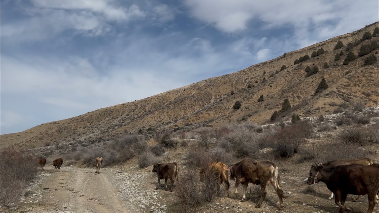 27 февраля 2026 г.
