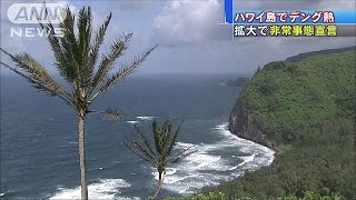 「ハワイ島」で非常事態宣言　デング熱の患者急増(16/02/10)