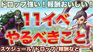 【ドラクエタクト】11イベントやるべきこと！年末イベだけにおいしさいっぱい！【DQ11】
