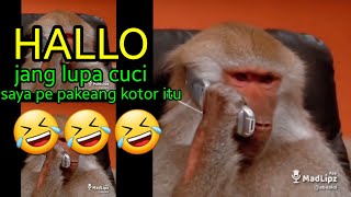 (Ep.20) Hewan bicara 🤣 |MadLipz Kocak Ala Ternate Maluku Utara, Bikin Ngakak