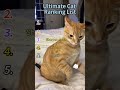 final results ranked#cat#funny#oop