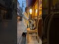 サイベリアンがお店の前に座りながら女性ハイタッチ！ #猫おもしろ #可愛い猫 #凄い猫