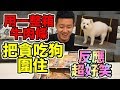 【狠愛演】 用一整箱牛肉條，把貪吃狗圍住！ 『反應超好笑』😂😂😂