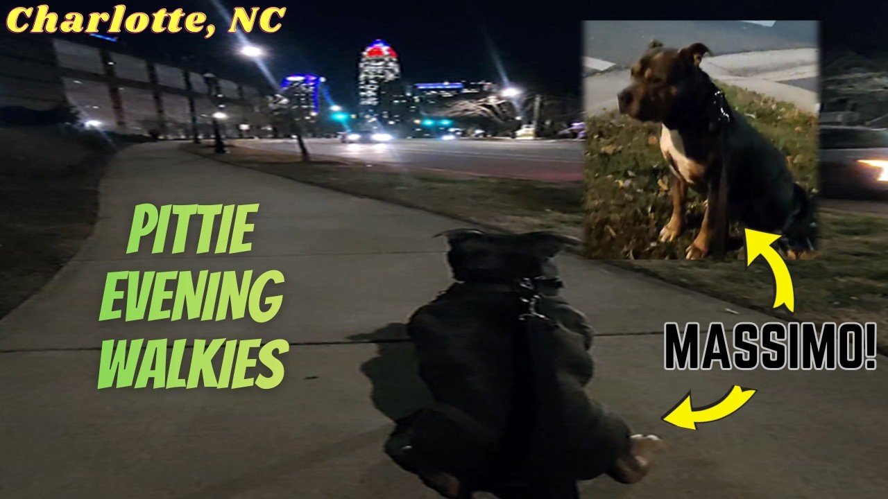 SIMPLE, QUICK & GUARANTEES HEALTHIER you, GRATEFUL dog