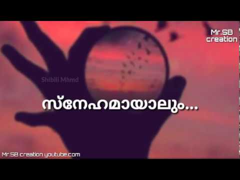 If not sincere there is only one person  Malayalam Sad WhatsApp Status Video