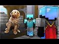 I Got A DOG + Wholesome MOMENTS In Ranked Skywars