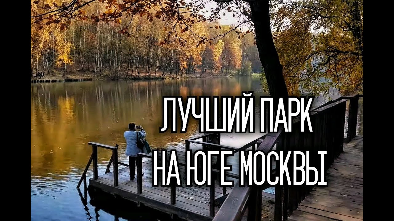 Ландшафтный заказник «Тёплый стан» сейчас. Тропаревский пруд. Осенние пейзажи леса.