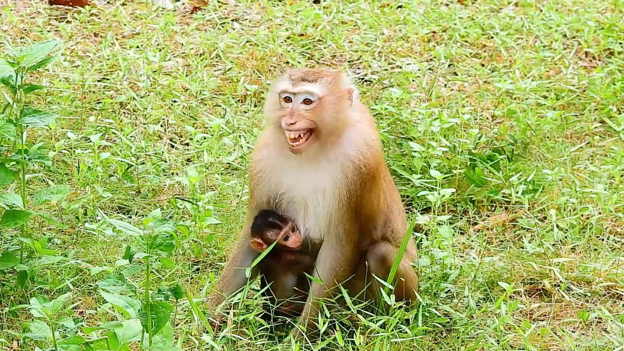 What's wrong Rose you okay with Brady my little boy - YouTube