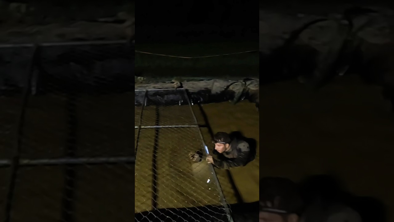 Cage Crawl! (AT NIGHT!) 