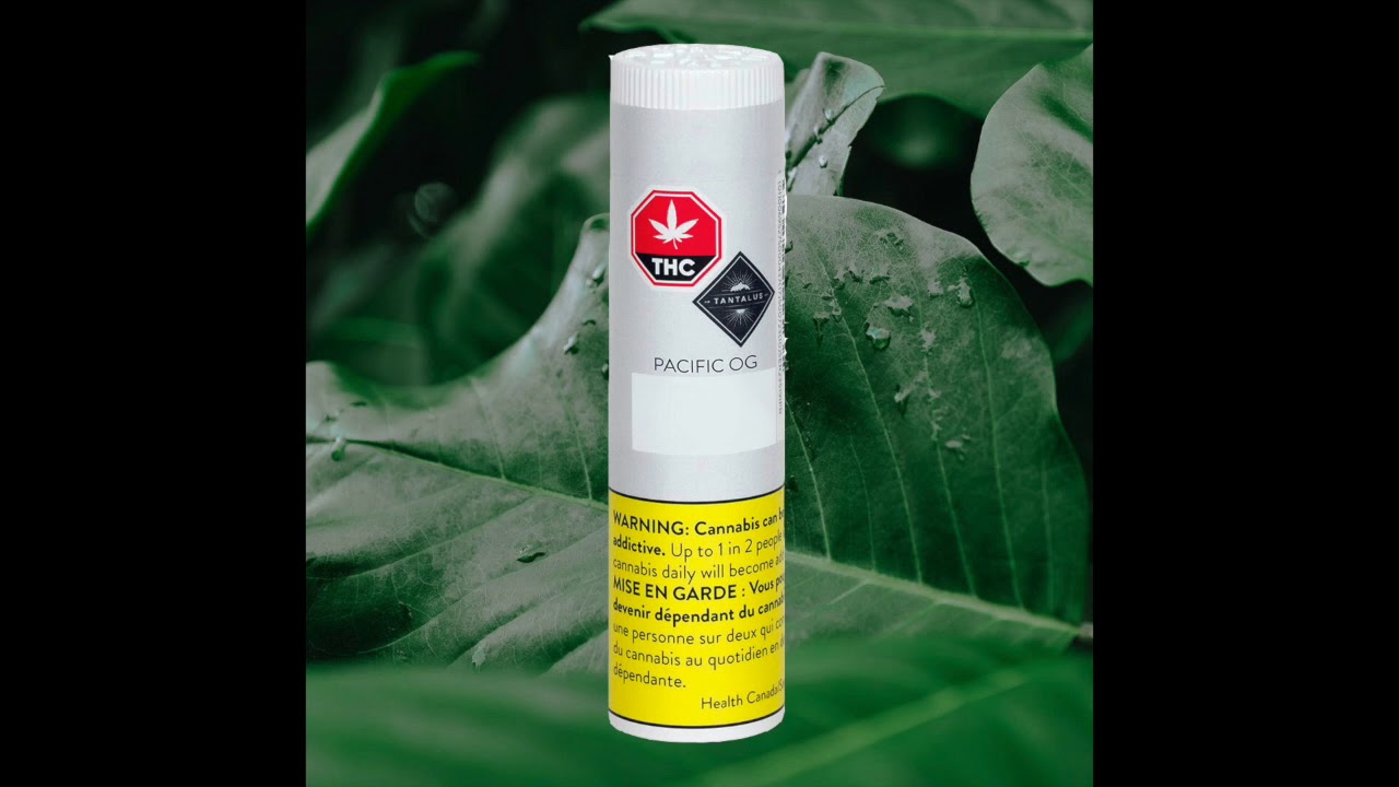 Pacific OG Pre Roll 3 pack |1 5g  DailyDeal TokeText com