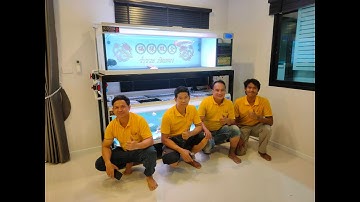 Bam แบม ชลบุรี - งานขนย้ายตู้ปลา 72/2 ชั้น พร้อมปลา พร้อมระบบ ภายในเมืองชล จบพร้อมลงปลาวันเดียว