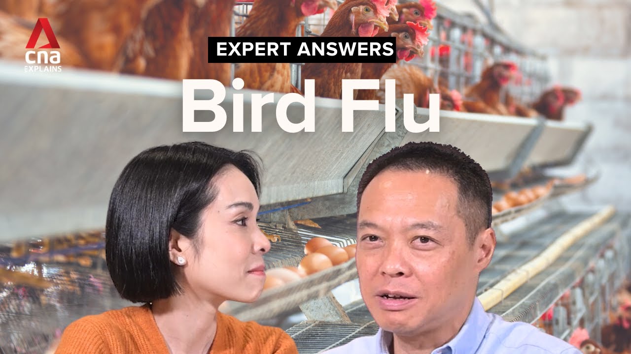 Bird flu: How concerned should you be about human infection of H5N1 ...
