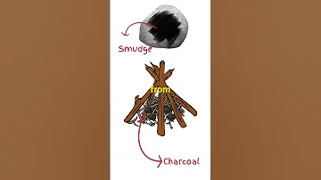 No Pencil Make One From Twigs Charcoal SurvivalDIY Survivalskills Primitivepencil Shorts 
