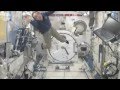 Astronaut plays Baseball in Space