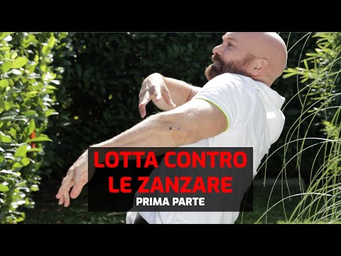 Torna padrone del tuo giardino | Sistema professionale antizanzare  Mister Mosquito