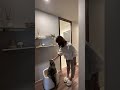 【マンションリノベーション】猫のぬくもりにほっとひと息、小さな家族の居場所まで思い描いた住まい。|大阪豊中、箕面のリノベなら、ひかり工務店。 #マイホーム #ルームツアー #大阪工務店