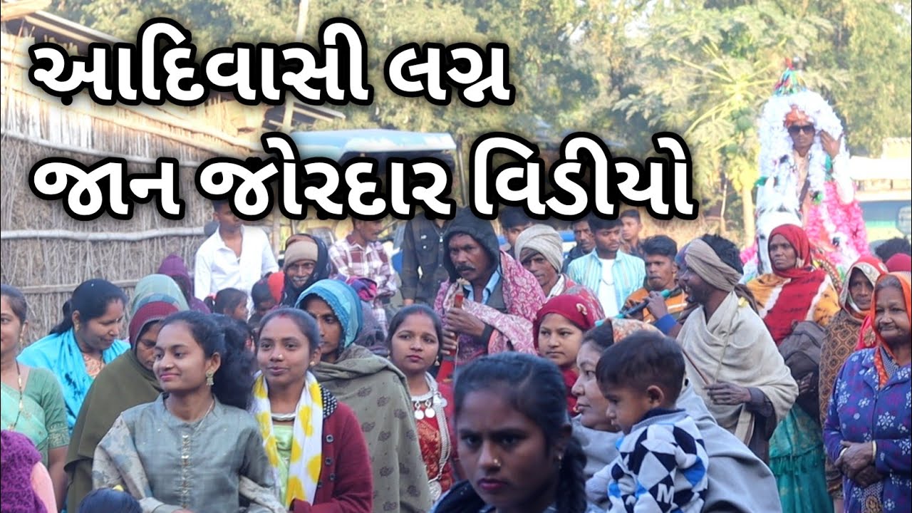 Adivasi Lagan, આદિવાસી લગ્ન જાન, Tribal Culture Music