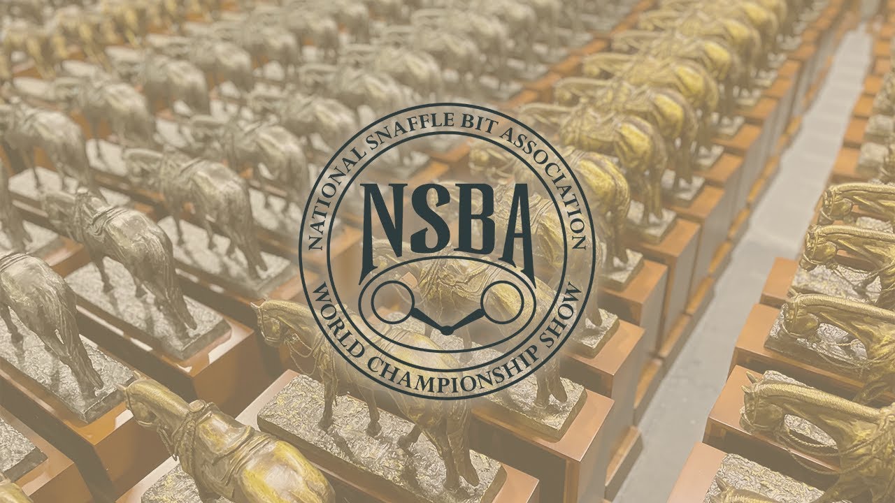 2023 NSBA World Show Mustang Arena Tuesday August 15 YouTube