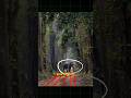 Learn to click like a #pro with your #phonecamera #aarzookhurana #photography #phonephotography