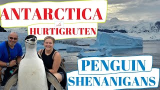 Penguin Shenanigans on Danco Island, ANTARCTICA 2023