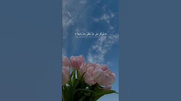 #بودكاست #ياسر_الحزيمي #راحة_نفسية #قران_كريم #الذكر #اذكار_المساء #اكسبلور #ترند #fypシ゚viral #fypシ