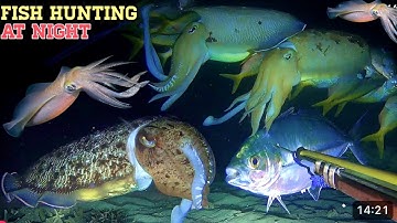 Phát Hiện Điểm Lặn Mới - Gặp Ổ MỰC LÁ - Ổ Mực Nang 50KG Bắt Không Kịp