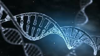 Unlocking the Secrets of SEO DNA: Unraveling the Code to Online Success